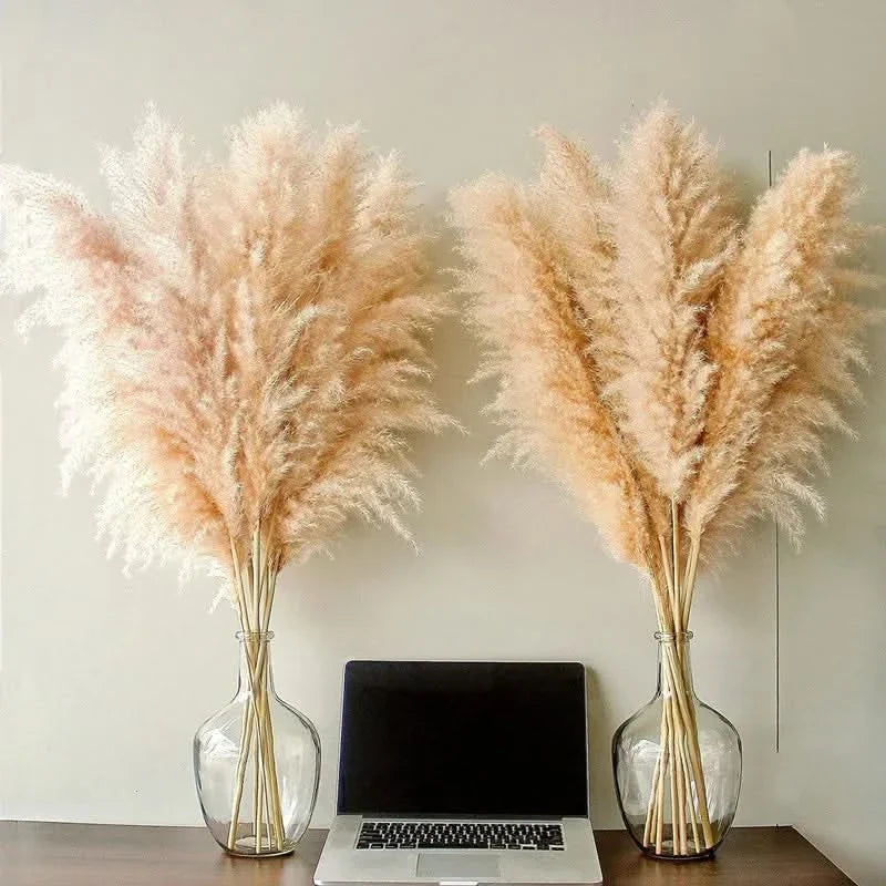 Tiges d'Herbe de la Pampa Artificielles 65cm – Déco Bohème
