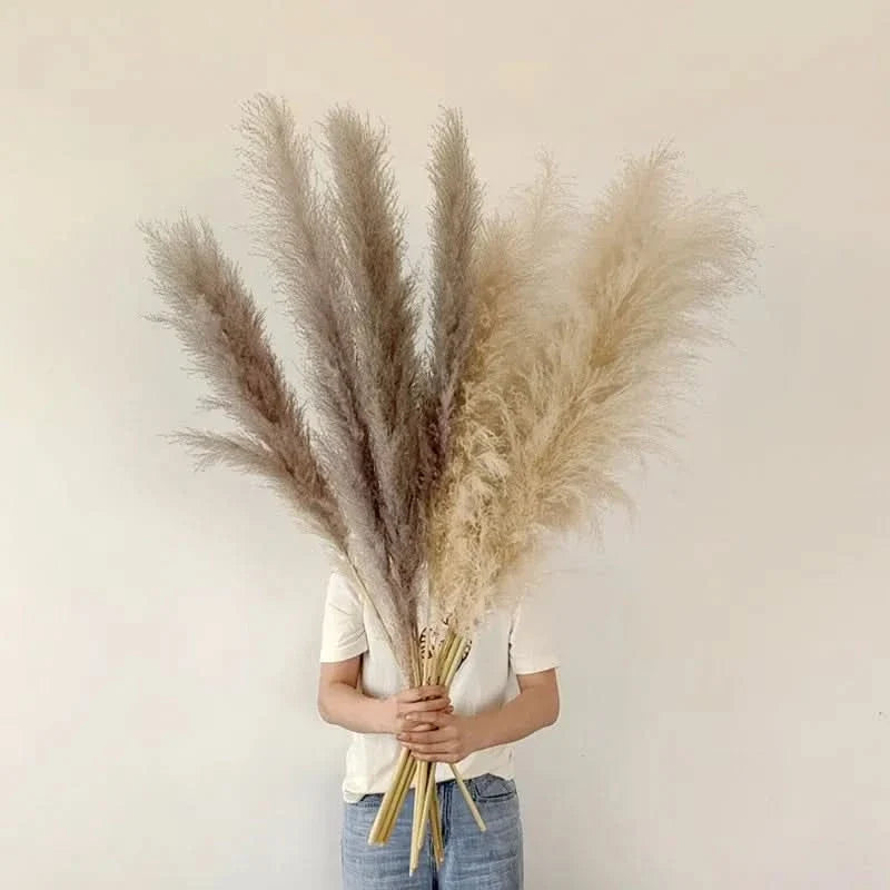 Tiges d'Herbe de la Pampa Artificielles 65cm – Déco Bohème