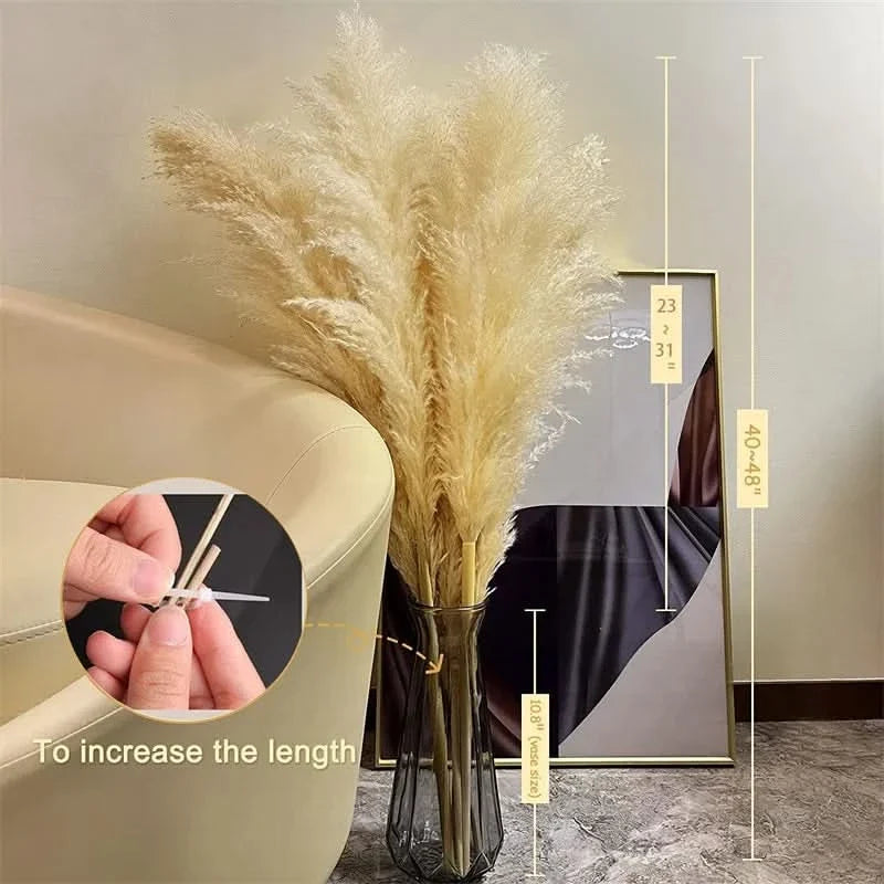 Tiges d'Herbe de la Pampa Artificielles 65cm – Déco Bohème