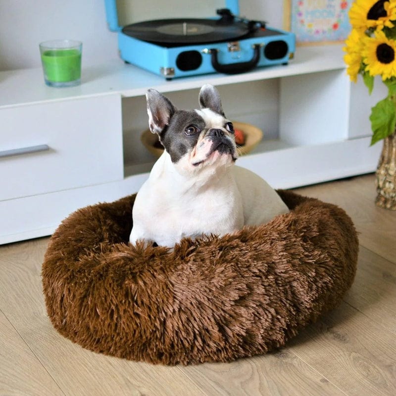 Dog Bed – Soft Faux Fur in Neutral Tones for a Soothing Sleeping Space for Small Dogs or Cats