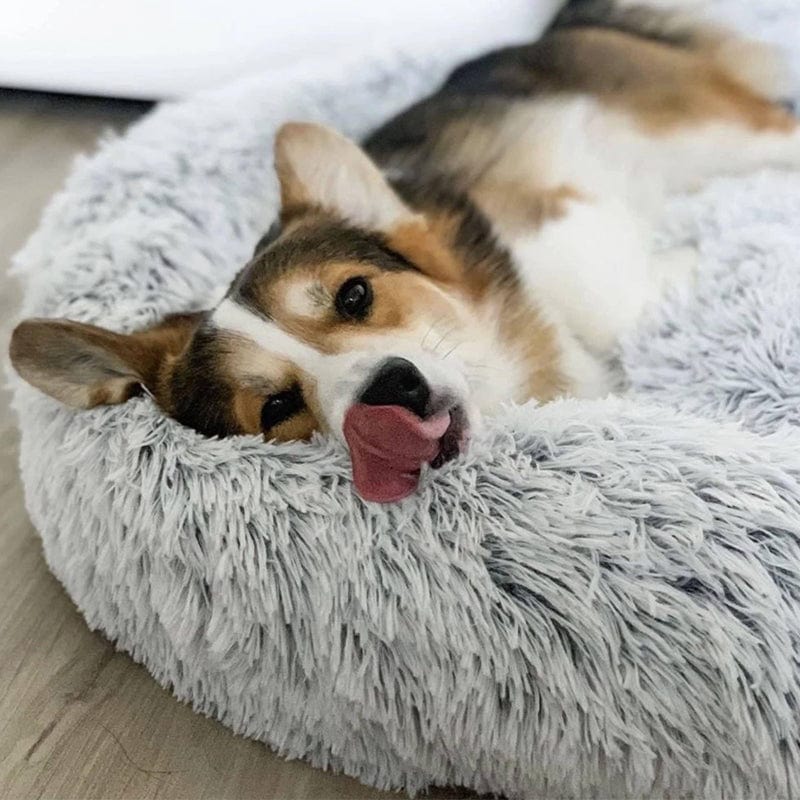 Dog Bed – Soft Faux Fur in Neutral Tones for a Soothing Sleeping Space for Small Dogs or Cats