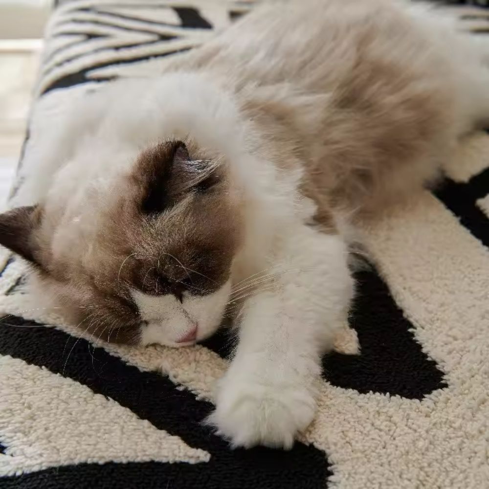 Housse de canapé – Microfibre, motif labyrinthique moderne pour salon ou espaces cosy