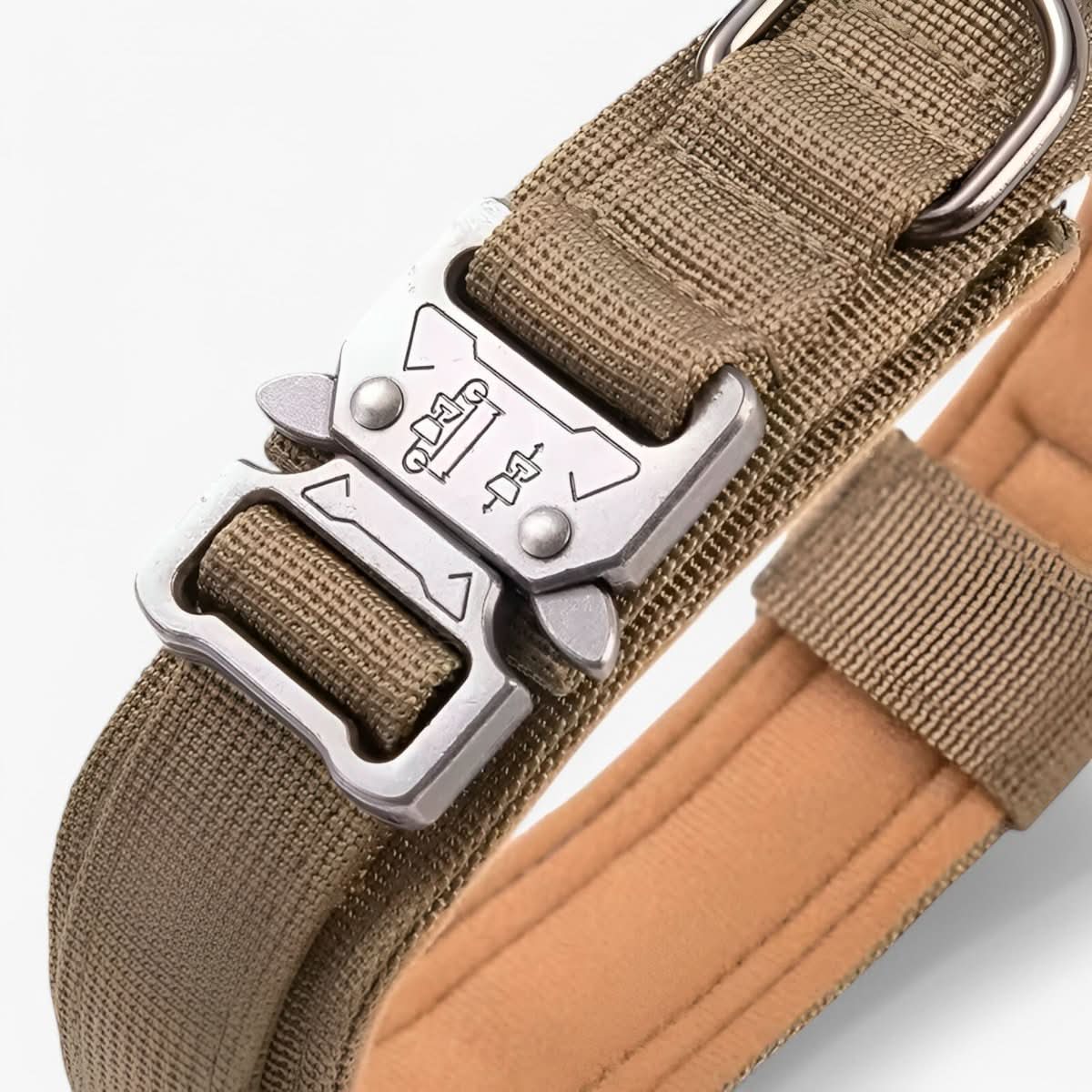 Collar de nailon para perros – Negro, diseño resistente para perros de tamaño mediano y grande, ideal para paseos y adiestramiento