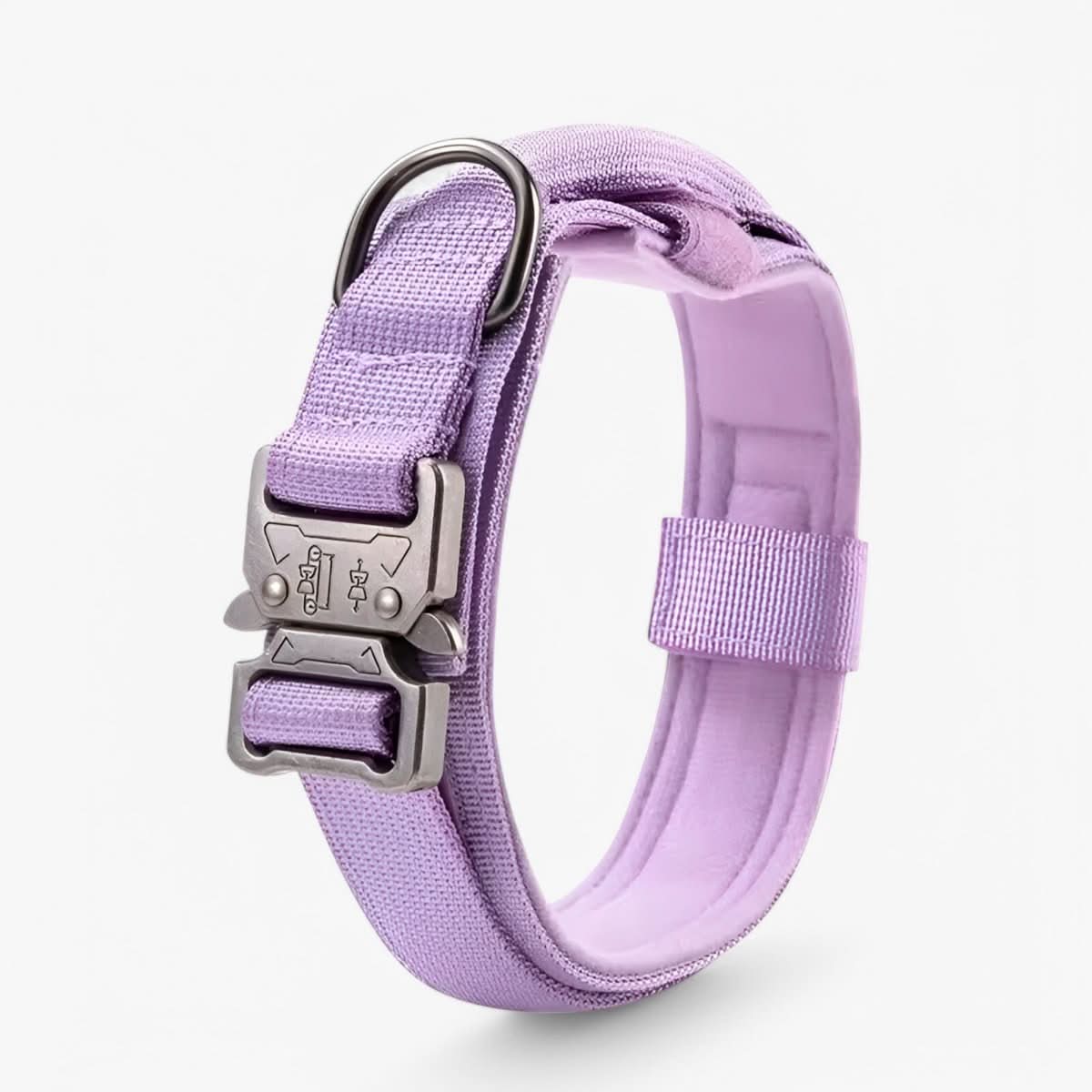 Collar de nailon para perros – Negro, diseño resistente para perros de tamaño mediano y grande, ideal para paseos y adiestramiento