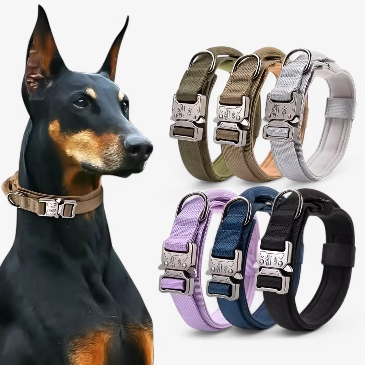 Collar de nailon para perros – Negro, diseño resistente para perros de tamaño mediano y grande, ideal para paseos y adiestramiento
