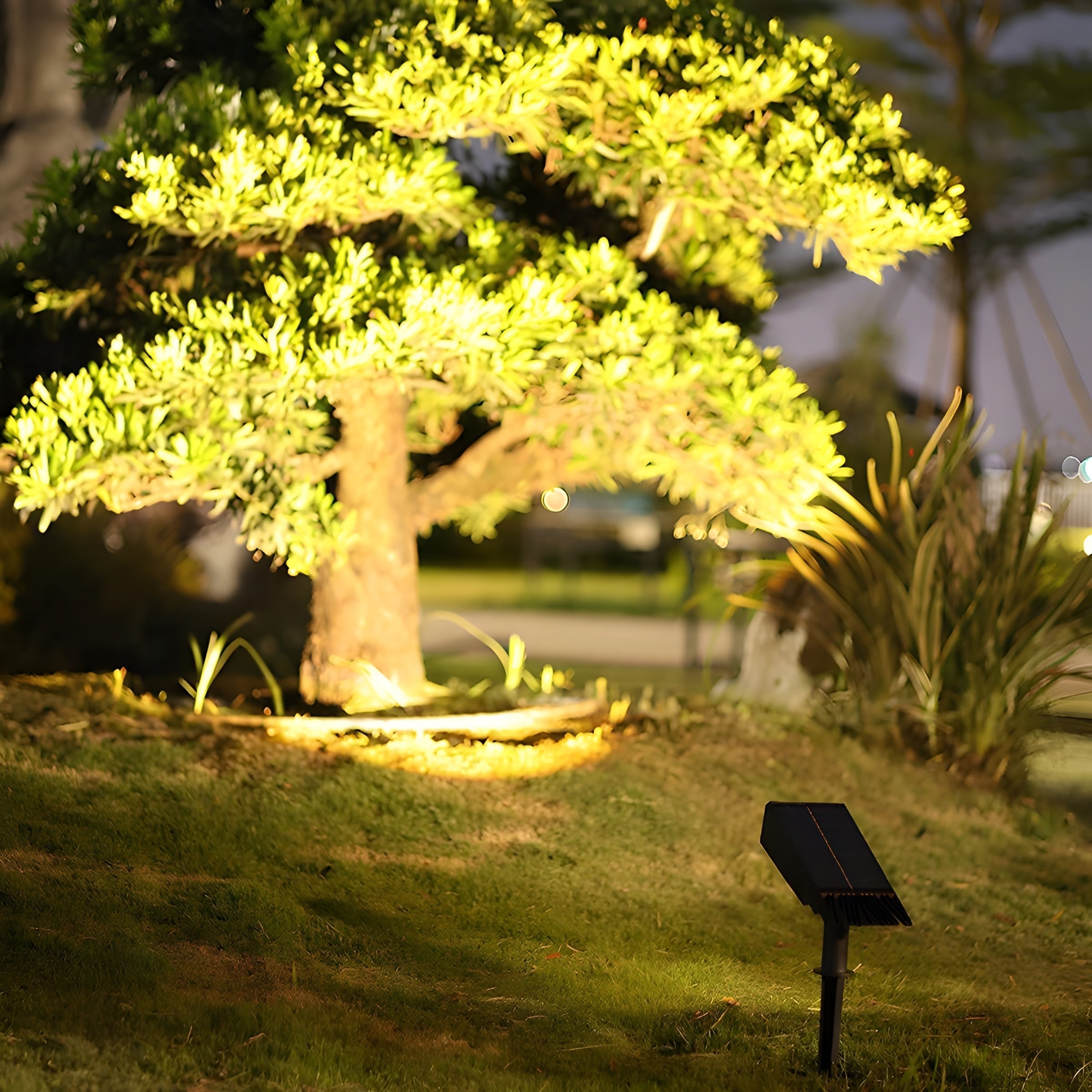 Spot Solaire d'Extérieur pour Jardin, Tête Orientable LED