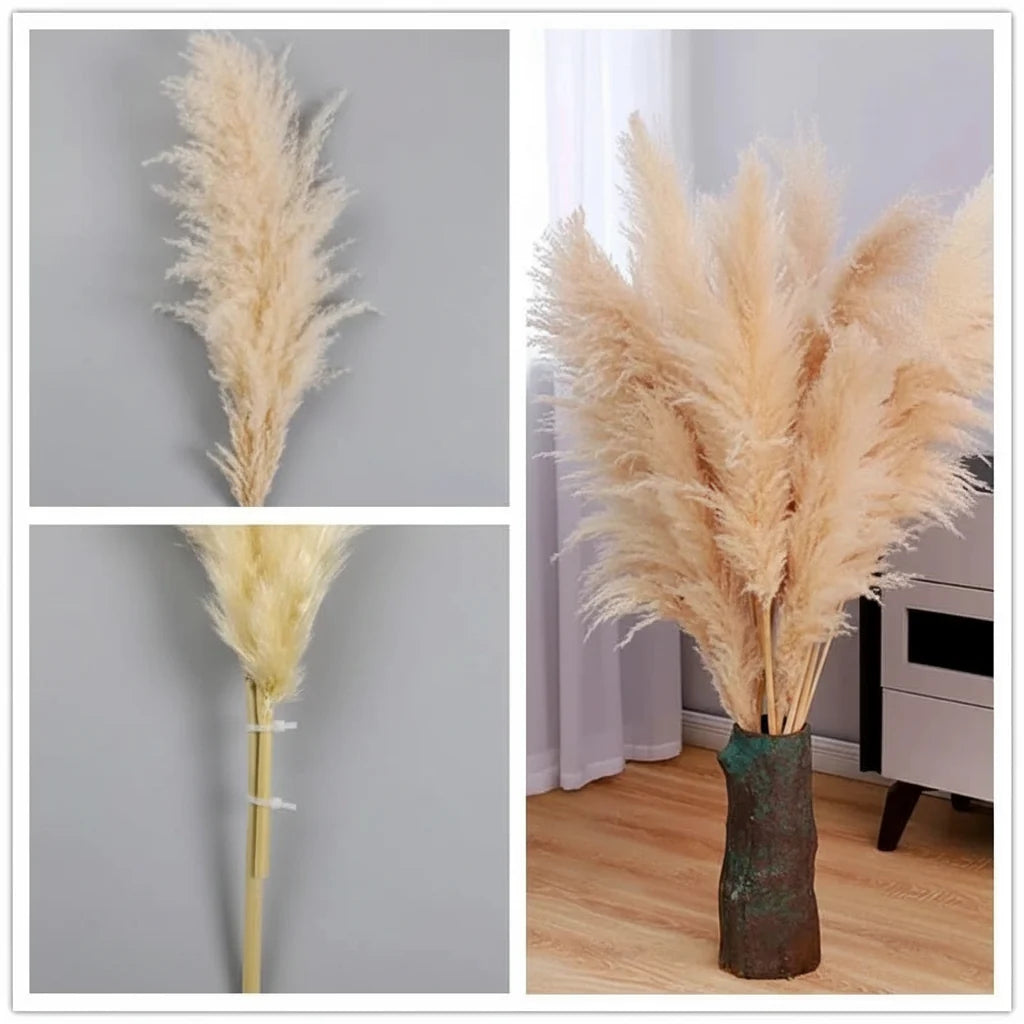 Tiges d'Herbe de la Pampa Artificielles 65cm – Déco Bohème