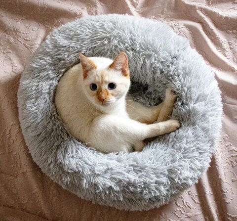 Dog Bed – Soft Faux Fur in Neutral Tones for a Soothing Sleeping Space for Small Dogs or Cats