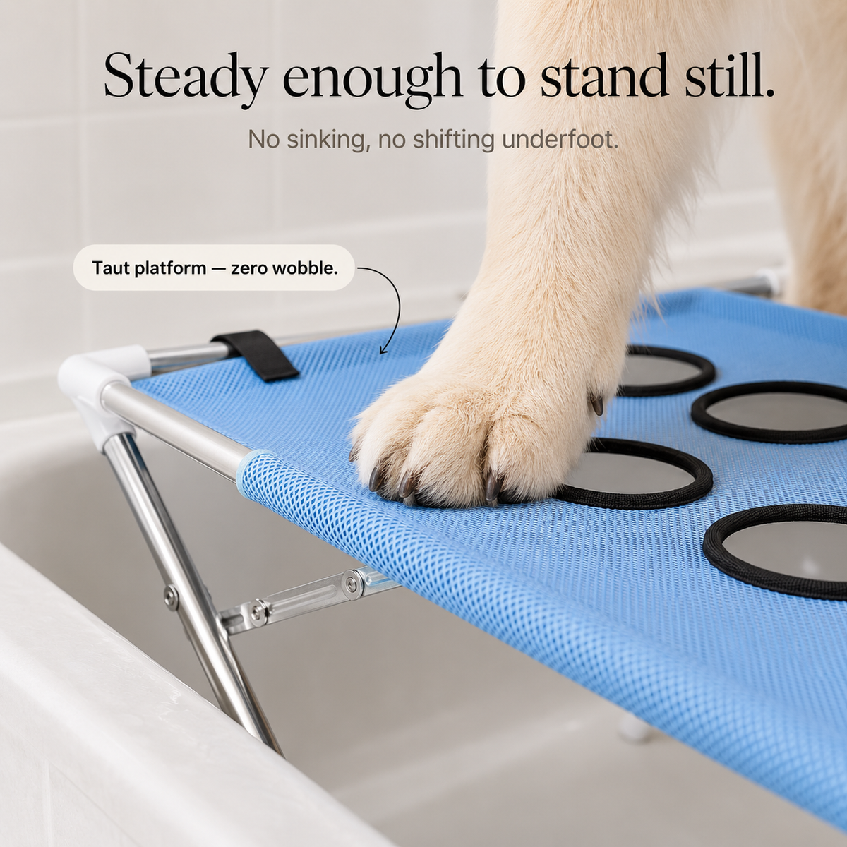Plateforme de Bain Surélevée pour Chien Antidérapante en Acier Inoxydable