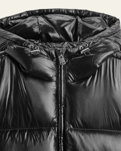 Doudoune Homme en Nylon Duvet d'Oie Finition Brillante Style Alpin