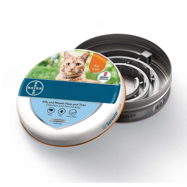 Collier Antiparasitaire Chat et Chien - Protection 8 Mois contre Puces et Tiques