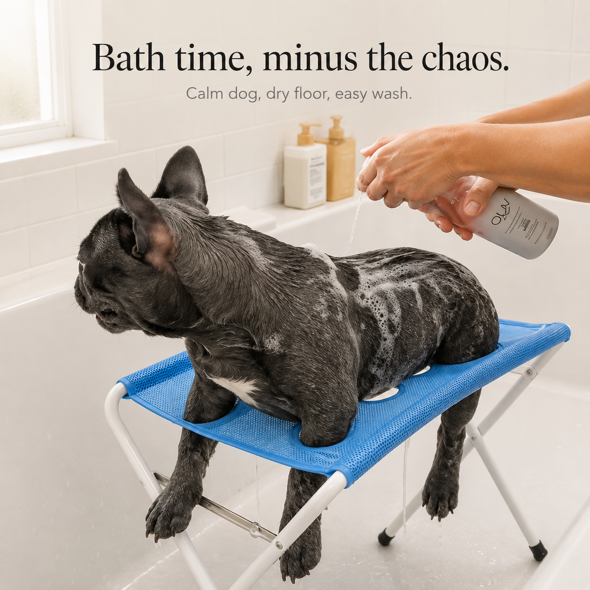 Plateforme de Bain Surélevée pour Chien Antidérapante en Acier Inoxydable