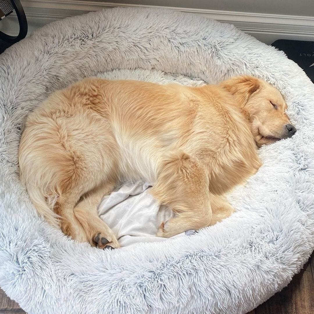 Dog Bed – Soft Faux Fur in Neutral Tones for a Soothing Sleeping Space for Small Dogs or Cats