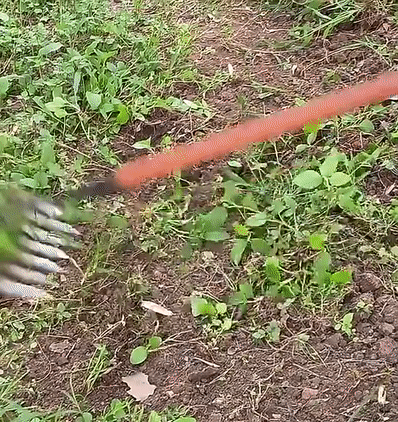 Onkruidschoffel – Koolstofstaal, robuust ontwerp voor tuinonderhoud en werk in de moestuin