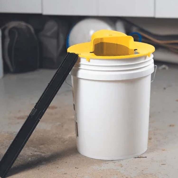 SmartCatch Mouse Trap - Mouse Trap - Wild Eye Vision