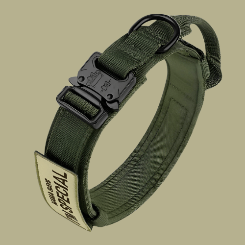 Collar de nailon para perros – Negro, diseño resistente para perros de tamaño mediano y grande, ideal para paseos y adiestramiento