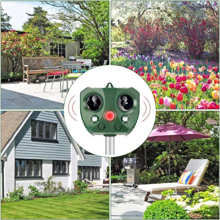 Ultrasonic Bird & Pest Defender - Bird Scarer - Wild Eye Vision